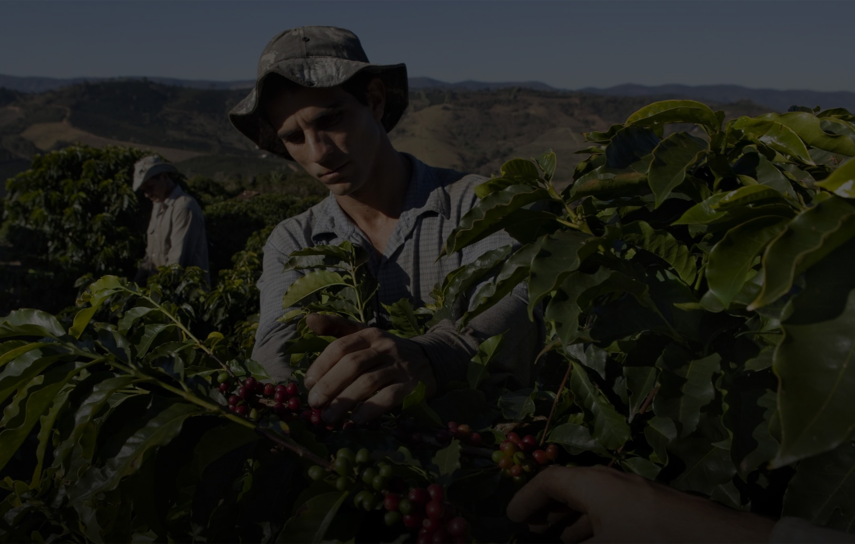 Η δέσμευσή μας