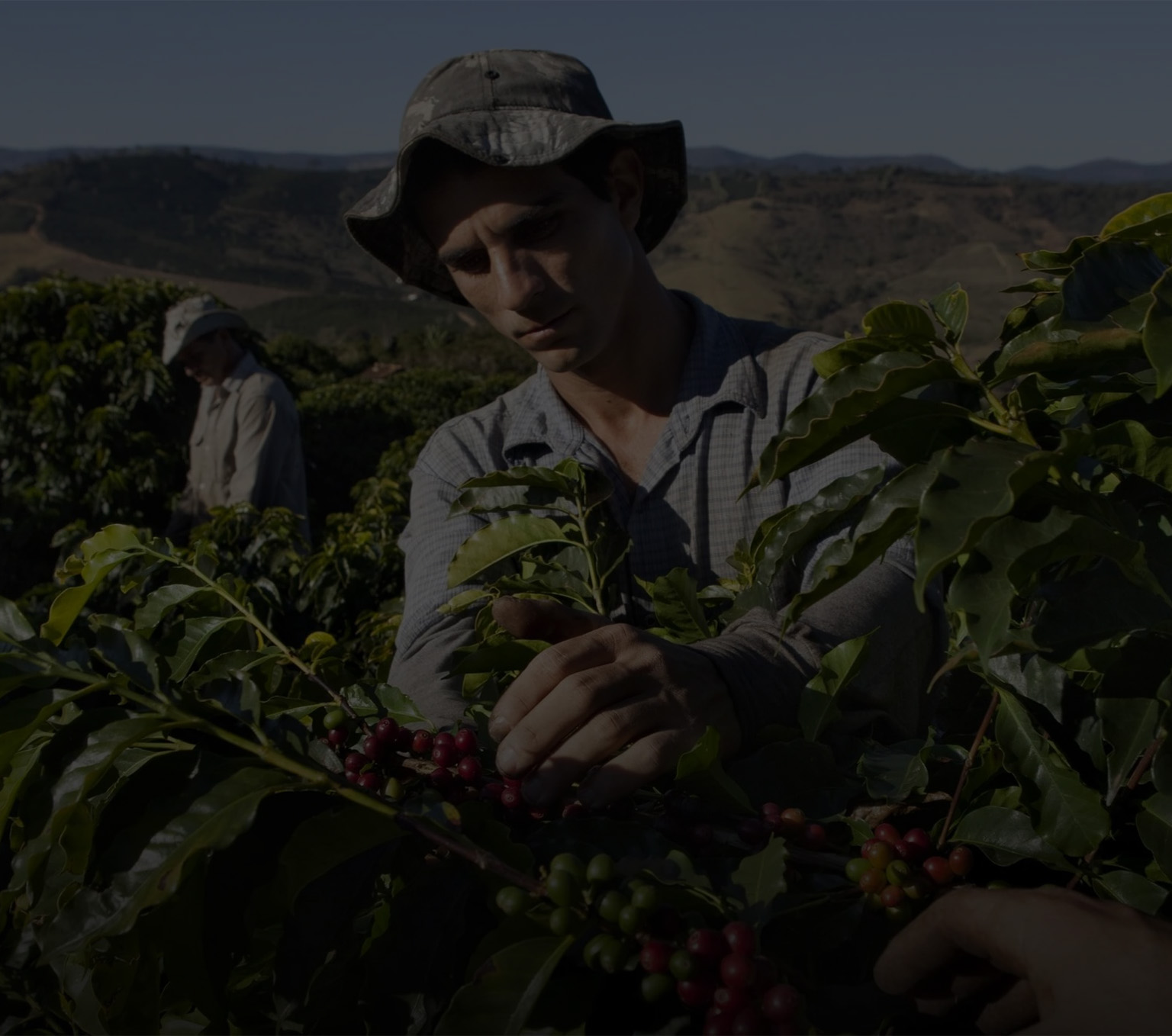 Η δέσμευσή μας